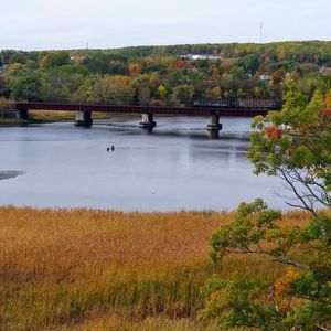 Meet your Posher, Lynn